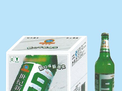 皇族世纪新品啤酒500ML