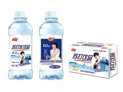 伊丽澳苏打水饮料350mlx24瓶