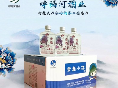 青春小样35度100mlX24瓶小酒