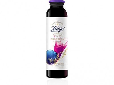 蓝莓果汁饮料（果汁饮料）