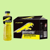 益和源 菠萝风味维生素饮