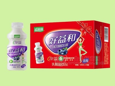 益和源蓝莓乳酸菌饮品340mlx12瓶